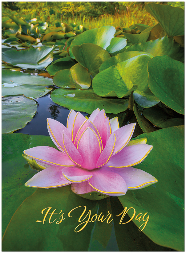 Lily Moments A3405G-W