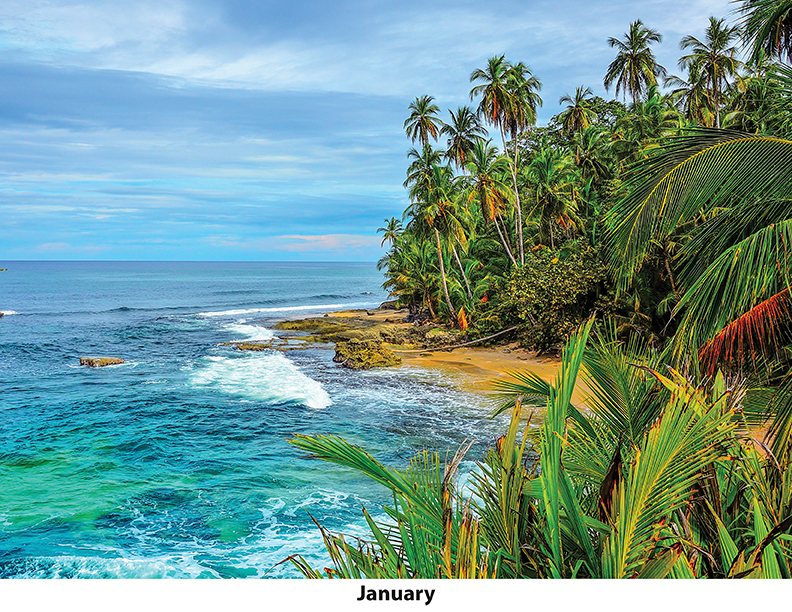 Scenic Beaches Wall Calendar DW27SBM