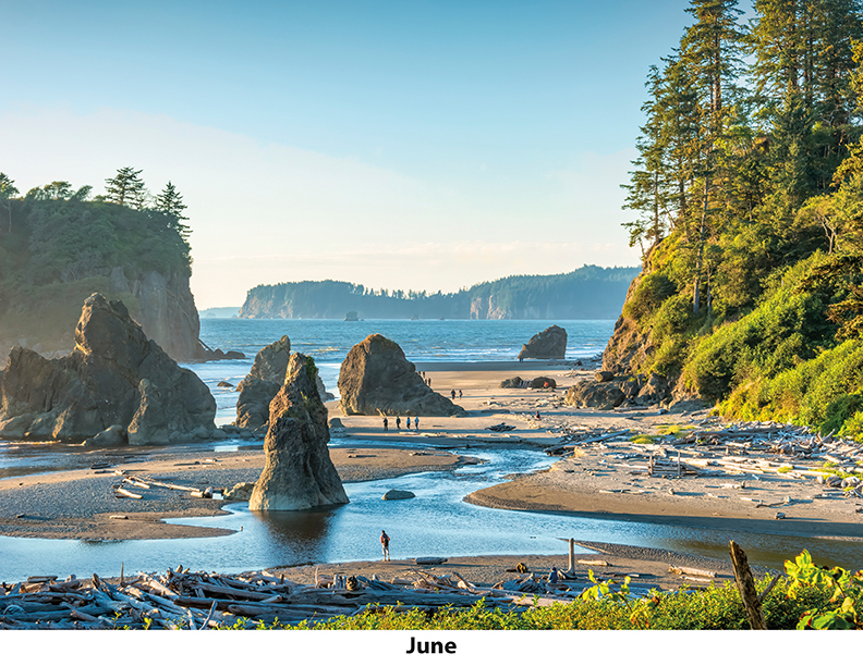Scenic Beaches Wall Calendar DW27SBM