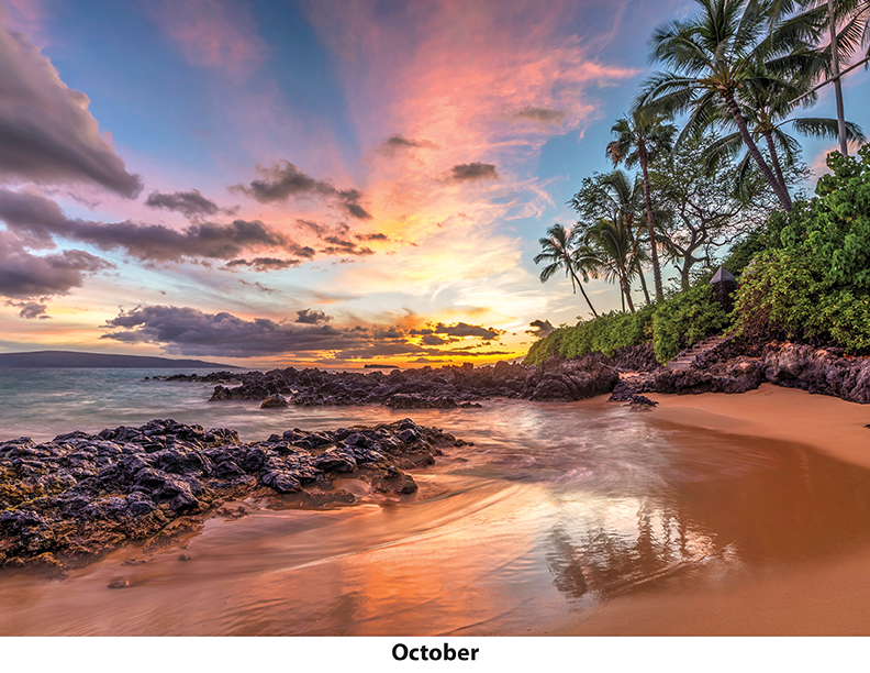 Scenic Beaches Wall Calendar DW27SBM