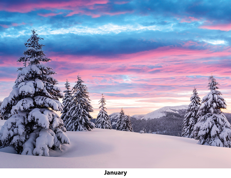 Scenic Seasons Wall Calendar DW27SSM