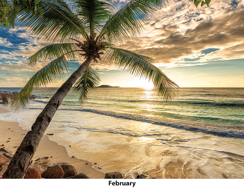 Scenic Seasons Wall Calendar DW27SSM