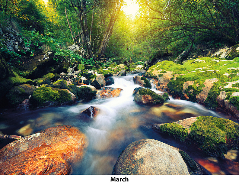 Scenic Seasons Wall Calendar DW27SSM
