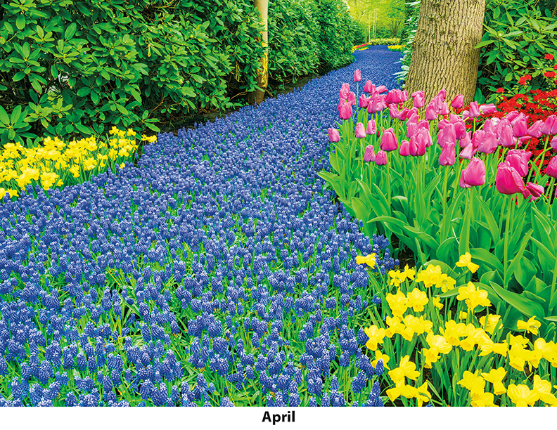 Scenic Seasons Wall Calendar DW27SSM