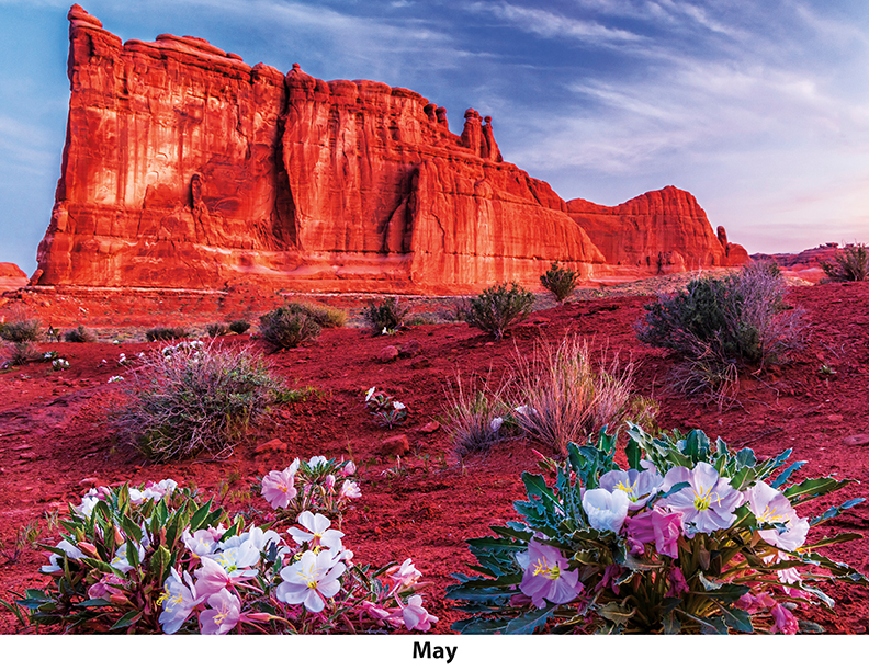 Scenic Seasons Wall Calendar DW27SSM