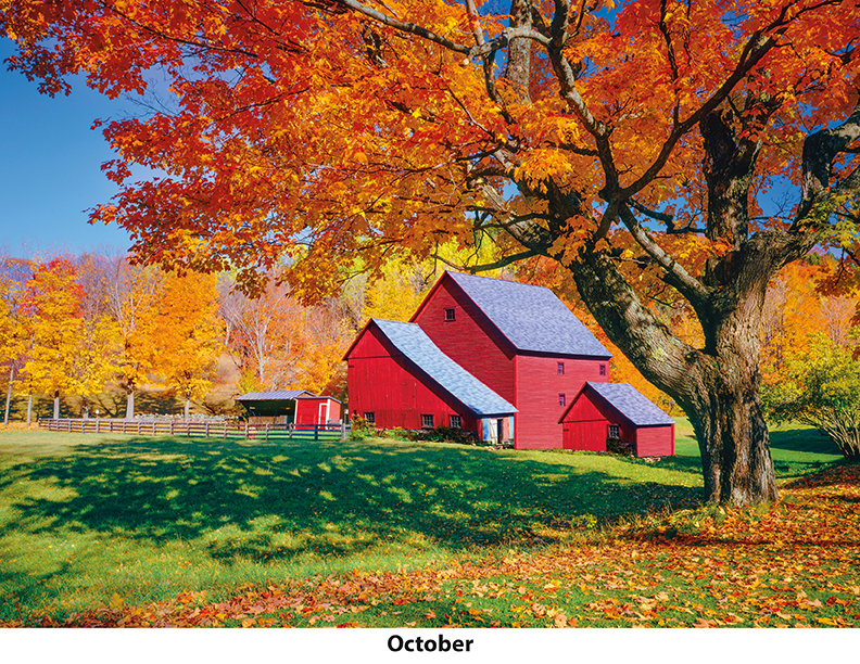 Scenic Seasons Wall Calendar DW27SSM