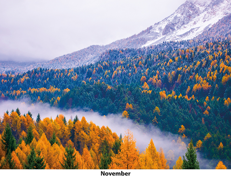 Scenic Seasons Wall Calendar DW27SSM