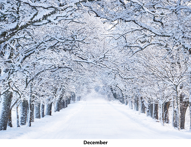 Scenic Seasons Wall Calendar DW27SSM