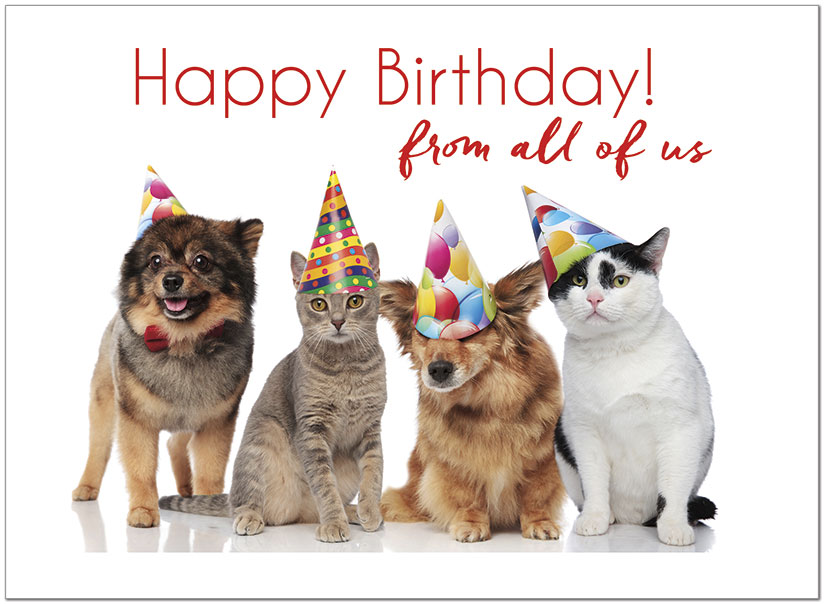 Party Pets Birthday Card D1465U-X