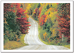 Open Road Note Card 551D-Y