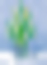 Toothbrush Tree Holiday Card H1301U-AA
