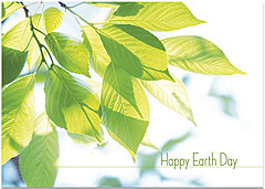 Earth Day Leaves Card A3043KW-X