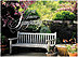 Sympathy Bench Card D4102U-Y