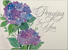 Praying for You Sympathy Card A5053U-X