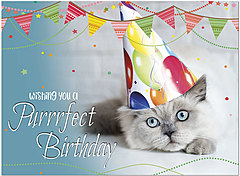 Purrfect Birthday Card D1464U-Y