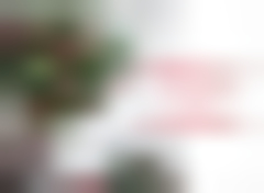 Heartfelt Christmas H2624U-AA