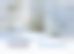 Snowy Trees Name Card H2637U-4A