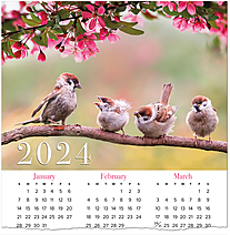 Morning Chirp Calendar Card C2582U-AA