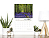 Scenic Seasons Wall Calendar DWP1124