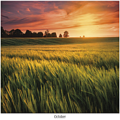 Scenic Seasons Wall Calendar DWP1124