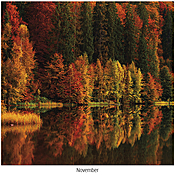 Scenic Seasons Wall Calendar DWP1124