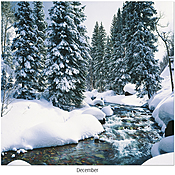 Scenic Seasons Wall Calendar DWP1124