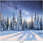 Scenic Seasons Wall Calendar DWP1124