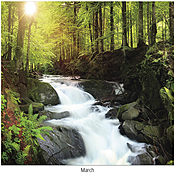 Scenic Seasons Wall Calendar DWP1124
