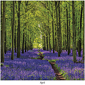 Scenic Seasons Wall Calendar DWP1124