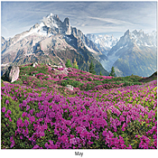 Scenic Seasons Wall Calendar DWP1124