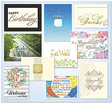 Every Occasion Assortment AO811